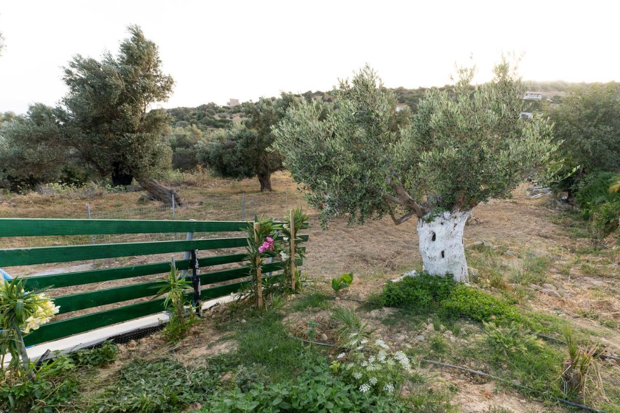 Villa Galini House Triopetra Esterno foto