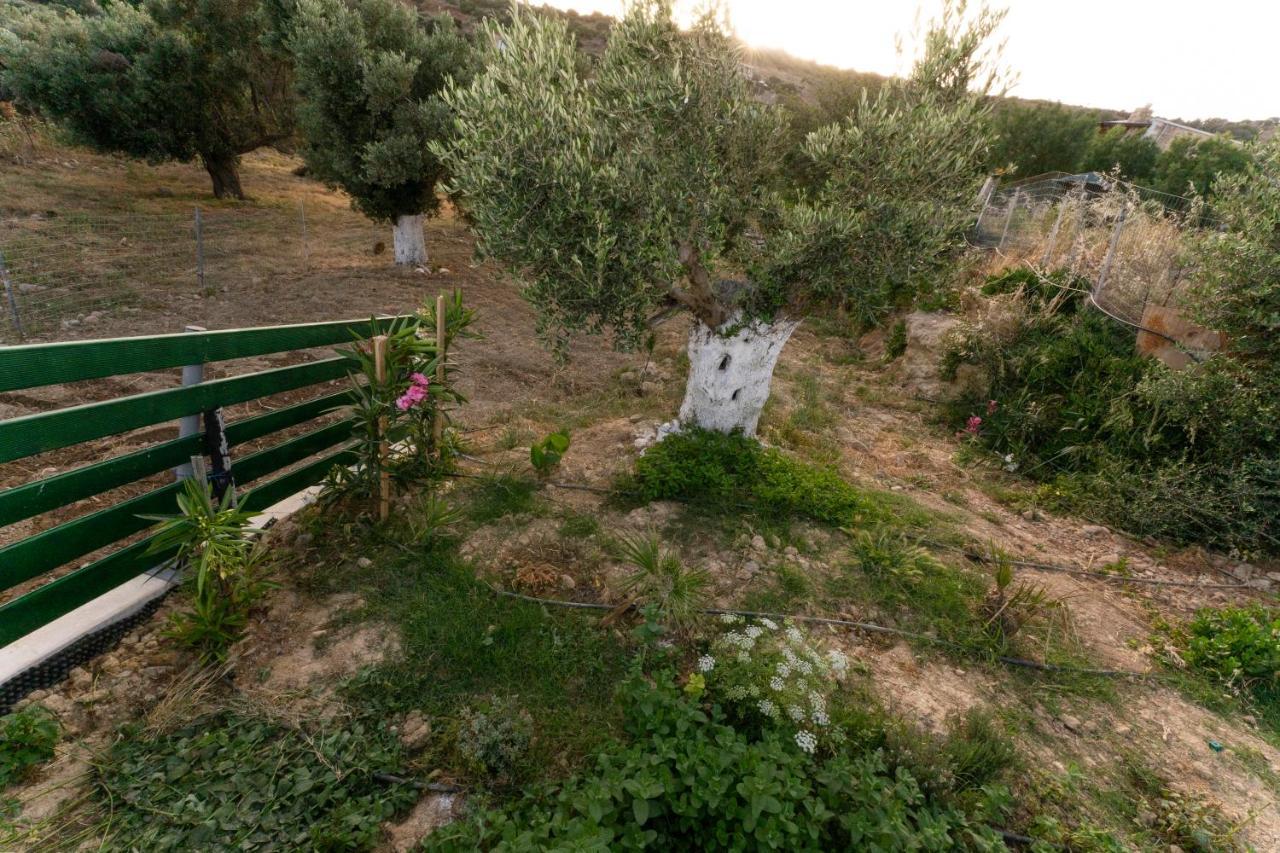 Villa Galini House Triopetra Esterno foto